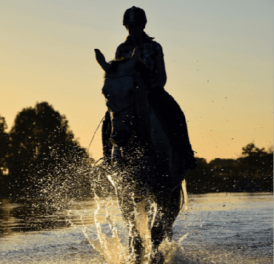 Horse and rider through water