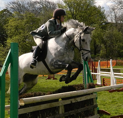 Horse jumping