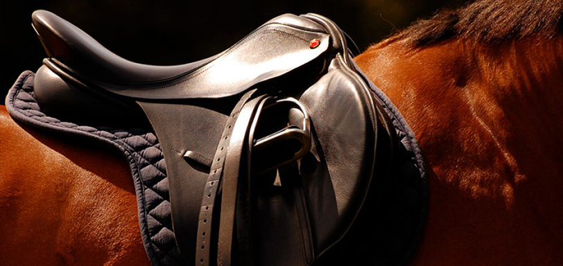 Saddle fitted to horse