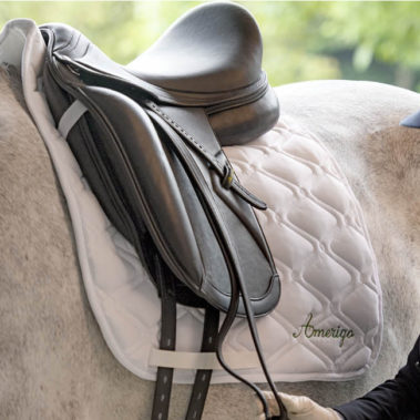 Dressage Saddles