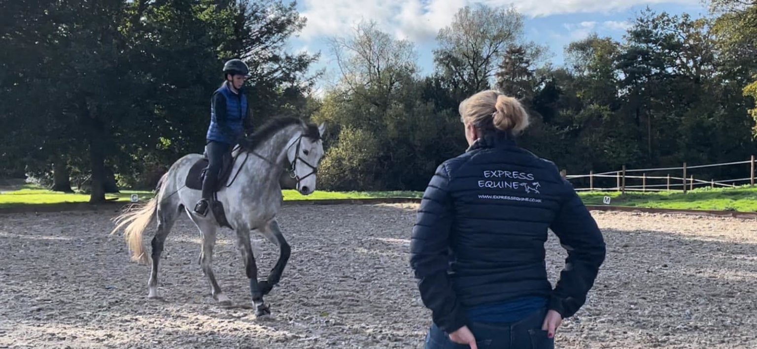 Saddle Fitting Information Express Equine