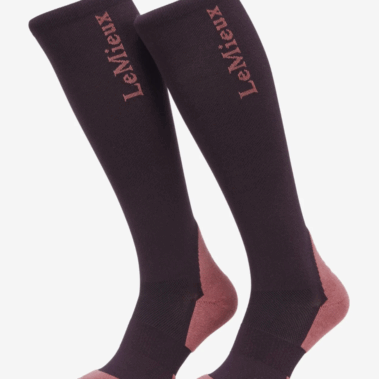 LeMieux Performance Socks - 2 Pack - AW25